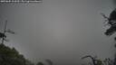 ./images/calvert/fitz-hugh-hecate/20250605/fitz-hugh-hecate20250605_161010M.jpg
