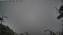 ./images/calvert/fitz-hugh-hecate/20250605/fitz-hugh-hecate20250605_161509M.jpg
