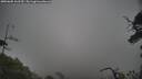 ./images/calvert/fitz-hugh-hecate/20250605/fitz-hugh-hecate20250605_162510M.jpg