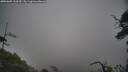 ./images/calvert/fitz-hugh-hecate/20250605/fitz-hugh-hecate20250605_163509M.jpg