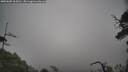 ./images/calvert/fitz-hugh-hecate/20250605/fitz-hugh-hecate20250605_165010M.jpg
