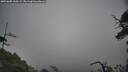 ./images/calvert/fitz-hugh-hecate/20250605/fitz-hugh-hecate20250605_165509M.jpg