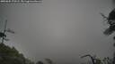 ./images/calvert/fitz-hugh-hecate/20250605/fitz-hugh-hecate20250605_170508M.jpg