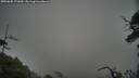 ./images/calvert/fitz-hugh-hecate/20250605/fitz-hugh-hecate20250605_171009M.jpg