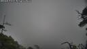 ./images/calvert/fitz-hugh-hecate/20250605/fitz-hugh-hecate20250605_171508M.jpg