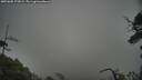 ./images/calvert/fitz-hugh-hecate/20250605/fitz-hugh-hecate20250605_172008M.jpg