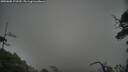 ./images/calvert/fitz-hugh-hecate/20250605/fitz-hugh-hecate20250605_172509M.jpg