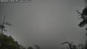 ./images/calvert/fitz-hugh-hecate/20250605/fitz-hugh-hecate20250605_173010M.jpg