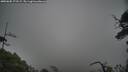 ./images/calvert/fitz-hugh-hecate/20250605/fitz-hugh-hecate20250605_173509M.jpg