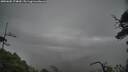 ./images/calvert/fitz-hugh-hecate/20250605/fitz-hugh-hecate20250605_174010M.jpg