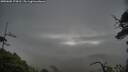./images/calvert/fitz-hugh-hecate/20250605/fitz-hugh-hecate20250605_174510M.jpg