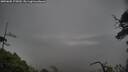 ./images/calvert/fitz-hugh-hecate/20250605/fitz-hugh-hecate20250605_175009M.jpg