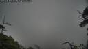 ./images/calvert/fitz-hugh-hecate/20250605/fitz-hugh-hecate20250605_175510M.jpg