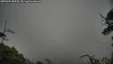 ./images/calvert/fitz-hugh-hecate/20250605/fitz-hugh-hecate20250605_180010M.jpg