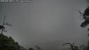 ./images/calvert/fitz-hugh-hecate/20250605/fitz-hugh-hecate20250605_180509M.jpg