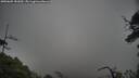 ./images/calvert/fitz-hugh-hecate/20250605/fitz-hugh-hecate20250605_181010M.jpg
