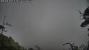 ./images/calvert/fitz-hugh-hecate/20250605/fitz-hugh-hecate20250605_181509M.jpg
