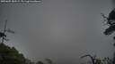 ./images/calvert/fitz-hugh-hecate/20250605/fitz-hugh-hecate20250605_182509M.jpg