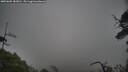 ./images/calvert/fitz-hugh-hecate/20250605/fitz-hugh-hecate20250605_183010M.jpg