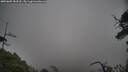./images/calvert/fitz-hugh-hecate/20250605/fitz-hugh-hecate20250605_183510M.jpg