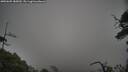 ./images/calvert/fitz-hugh-hecate/20250605/fitz-hugh-hecate20250605_185010M.jpg