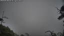 ./images/calvert/fitz-hugh-hecate/20250605/fitz-hugh-hecate20250605_185509M.jpg