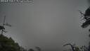 ./images/calvert/fitz-hugh-hecate/20250605/fitz-hugh-hecate20250605_190009M.jpg