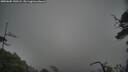 ./images/calvert/fitz-hugh-hecate/20250605/fitz-hugh-hecate20250605_190508M.jpg