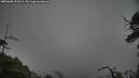 ./images/calvert/fitz-hugh-hecate/20250605/fitz-hugh-hecate20250605_191009M.jpg