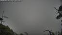 ./images/calvert/fitz-hugh-hecate/20250605/fitz-hugh-hecate20250605_191508M.jpg