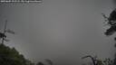 ./images/calvert/fitz-hugh-hecate/20250605/fitz-hugh-hecate20250605_192508M.jpg