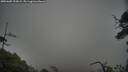 ./images/calvert/fitz-hugh-hecate/20250605/fitz-hugh-hecate20250605_193009M.jpg