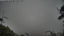 ./images/calvert/fitz-hugh-hecate/20250605/fitz-hugh-hecate20250605_193509M.jpg