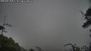 ./images/calvert/fitz-hugh-hecate/20250605/fitz-hugh-hecate20250605_194009M.jpg