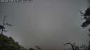 ./images/calvert/fitz-hugh-hecate/20250605/fitz-hugh-hecate20250605_194508M.jpg