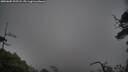 ./images/calvert/fitz-hugh-hecate/20250605/fitz-hugh-hecate20250605_195508M.jpg