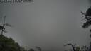 ./images/calvert/fitz-hugh-hecate/20250605/fitz-hugh-hecate20250605_200009M.jpg