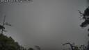./images/calvert/fitz-hugh-hecate/20250605/fitz-hugh-hecate20250605_200508M.jpg
