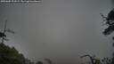 ./images/calvert/fitz-hugh-hecate/20250605/fitz-hugh-hecate20250605_201009M.jpg