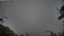./images/calvert/fitz-hugh-hecate/20250605/fitz-hugh-hecate20250605_202508M.jpg