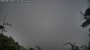 ./images/calvert/fitz-hugh-hecate/20250605/fitz-hugh-hecate20250605_203008M.jpg