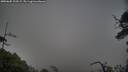 ./images/calvert/fitz-hugh-hecate/20250605/fitz-hugh-hecate20250605_203508M.jpg