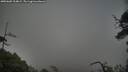 ./images/calvert/fitz-hugh-hecate/20250605/fitz-hugh-hecate20250605_204009M.jpg
