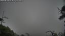 ./images/calvert/fitz-hugh-hecate/20250605/fitz-hugh-hecate20250605_205008M.jpg