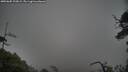 ./images/calvert/fitz-hugh-hecate/20250605/fitz-hugh-hecate20250605_210008M.jpg