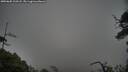 ./images/calvert/fitz-hugh-hecate/20250605/fitz-hugh-hecate20250605_210508M.jpg