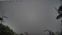 ./images/calvert/fitz-hugh-hecate/20250605/fitz-hugh-hecate20250605_211009M.jpg
