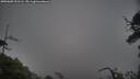 ./images/calvert/fitz-hugh-hecate/20250605/fitz-hugh-hecate20250605_211505M.jpg