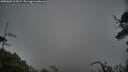 ./images/calvert/fitz-hugh-hecate/20250605/fitz-hugh-hecate20250605_213008M.jpg