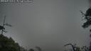 ./images/calvert/fitz-hugh-hecate/20250605/fitz-hugh-hecate20250605_213505M.jpg